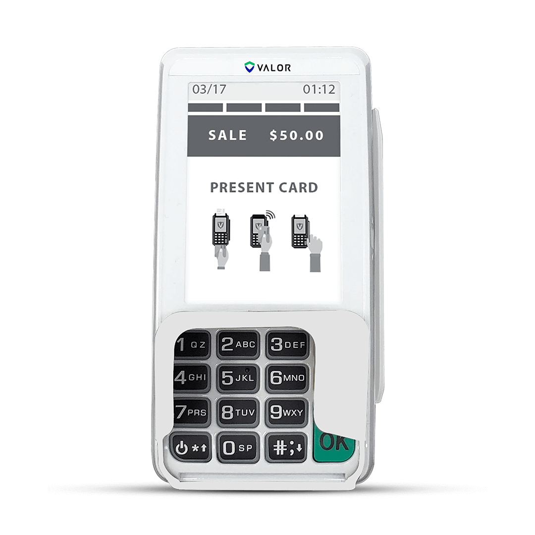 Valor Processor Comparsion Terminals VL300